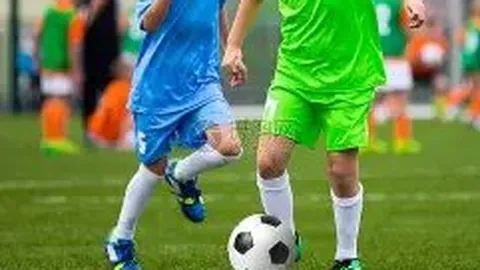 郑智领航西海岸，黄博文、李雷雷携手加盟，豪华教练团队集结完毕